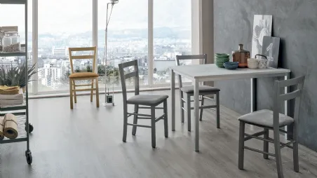 Sedia Salvador con struttura in legno verniciato e seduta in morbida microfibra effetto velluto di Target Point